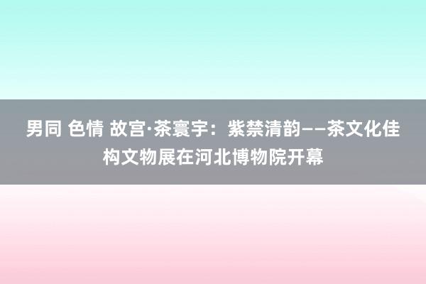 男同 色情 故宫·茶寰宇：紫禁清韵——茶文化佳构文物展在河北博物院开幕