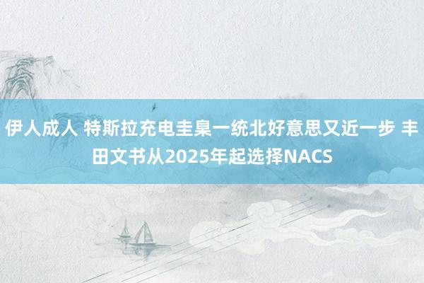 伊人成人 特斯拉充电圭臬一统北好意思又近一步 丰田文书从2025年起选择NACS