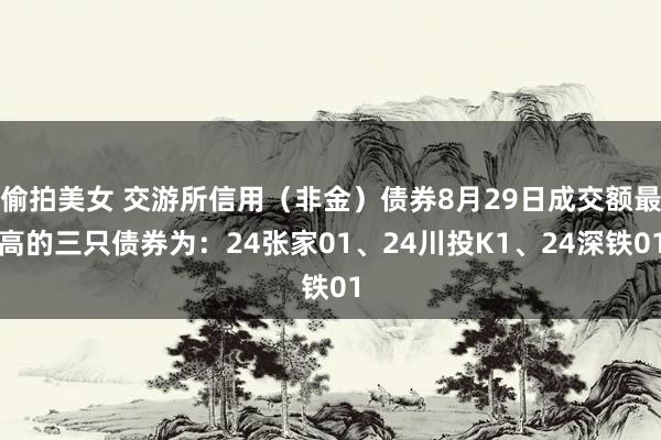 偷拍美女 交游所信用（非金）债券8月29日成交额最高的三只债券为：24张家01、24川投K1、24深铁01