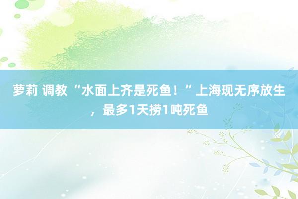 萝莉 调教 “水面上齐是死鱼！”上海现无序放生，最多1天捞1吨死鱼