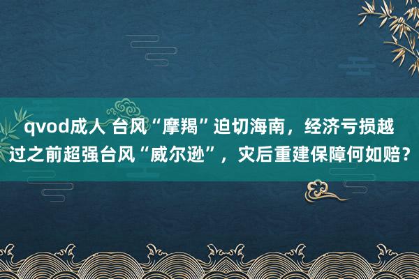 qvod成人 台风“摩羯”迫切海南，经济亏损越过之前超强台风“威尔逊”，灾后重建保障何如赔？