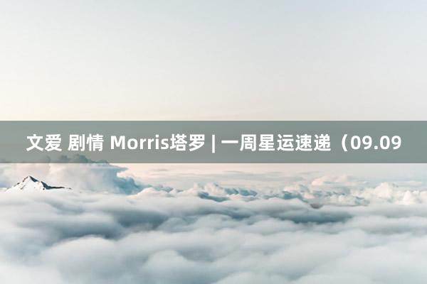 文爱 剧情 Morris塔罗 | 一周星运速递（09.09