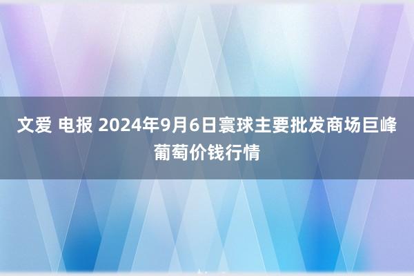 文爱 电报 2024年9月6日寰球主要批发商场巨峰葡萄价钱行情