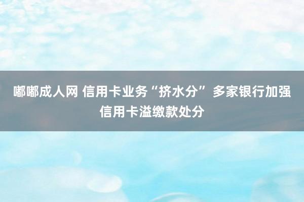 嘟嘟成人网 信用卡业务“挤水分” 多家银行加强信用卡溢缴款处分