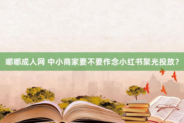 嘟嘟成人网 中小商家要不要作念小红书聚光投放？