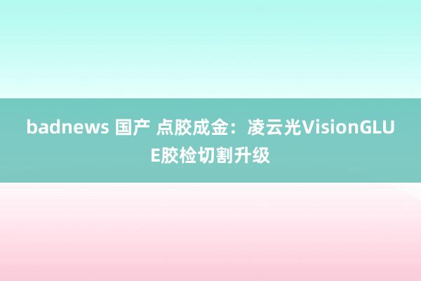 badnews 国产 点胶成金：凌云光VisionGLUE胶检切割升级