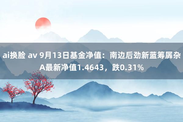 ai换脸 av 9月13日基金净值：南边后劲新蓝筹羼杂A最新净值1.4643，跌0.31%