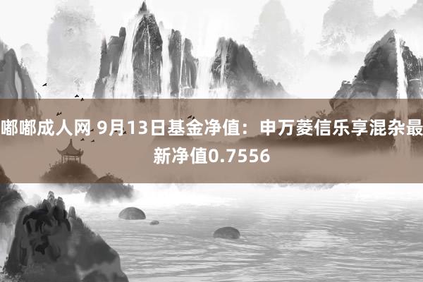 嘟嘟成人网 9月13日基金净值：申万菱信乐享混杂最新净值0.7556