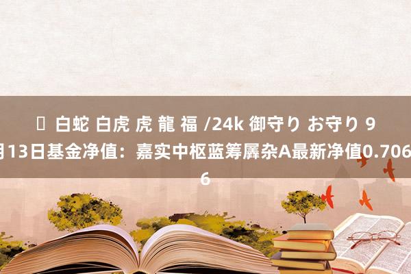 ✨白蛇 白虎 虎 龍 福 /24k 御守り お守り 9月13日基金净值：嘉实中枢蓝筹羼杂A最新净值0.7066