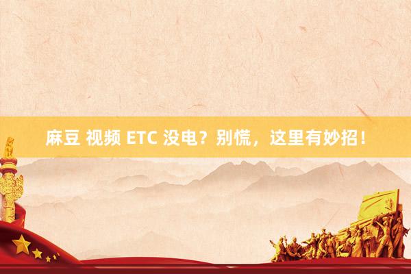 麻豆 视频 ETC 没电？别慌，这里有妙招！