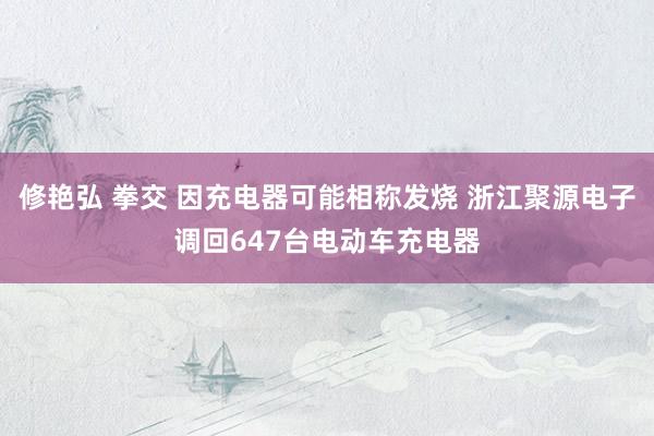 修艳弘 拳交 因充电器可能相称发烧 浙江聚源电子调回647台电动车充电器