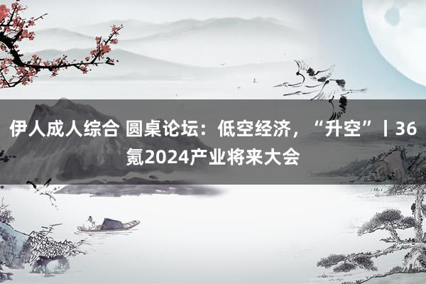 伊人成人综合 圆桌论坛：低空经济，“升空”丨36氪2024产业将来大会