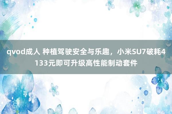 qvod成人 种植驾驶安全与乐趣，小米SU7破耗4133元即可升级高性能制动套件