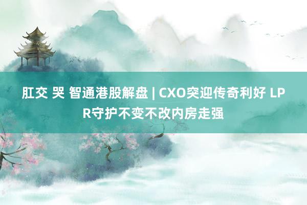 肛交 哭 智通港股解盘 | CXO突迎传奇利好 LPR守护不变不改内房走强