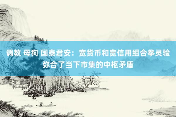 调教 母狗 国泰君安：宽货币和宽信用组合拳灵验弥合了当下市集的中枢矛盾