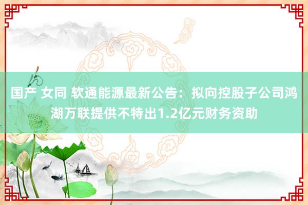 国产 女同 软通能源最新公告：拟向控股子公司鸿湖万联提供不特出1.2亿元财务资助