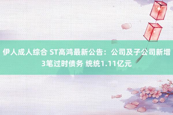 伊人成人综合 ST高鸿最新公告：公司及子公司新增3笔过时债务 统统1.11亿元