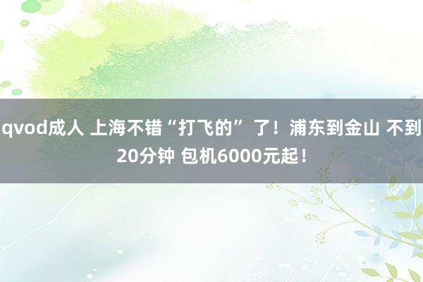 qvod成人 上海不错“打飞的” 了！浦东到金山 不到20分钟 包机6000元起！