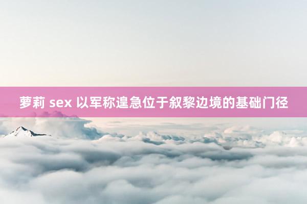 萝莉 sex 以军称遑急位于叙黎边境的基础门径