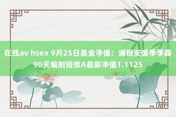 在线av hsex 9月25日基金净值：浦银安盛季季鑫90天编削短债A最新净值1.1125