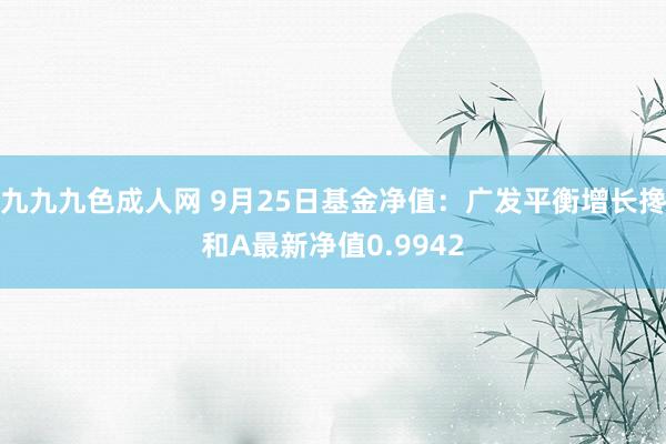 九九九色成人网 9月25日基金净值：广发平衡增长搀和A最新净值0.9942