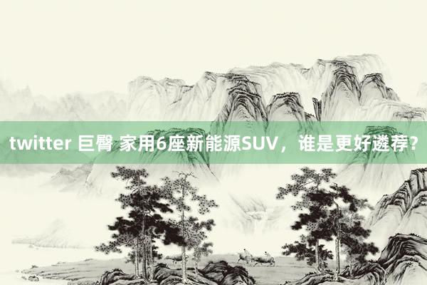 twitter 巨臀 家用6座新能源SUV，谁是更好遴荐？