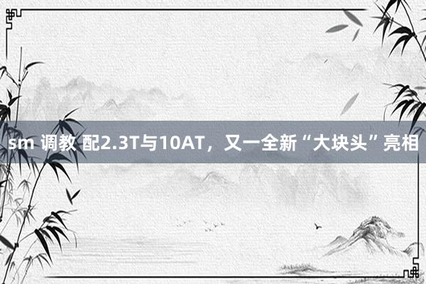 sm 调教 配2.3T与10AT，又一全新“大块头”亮相