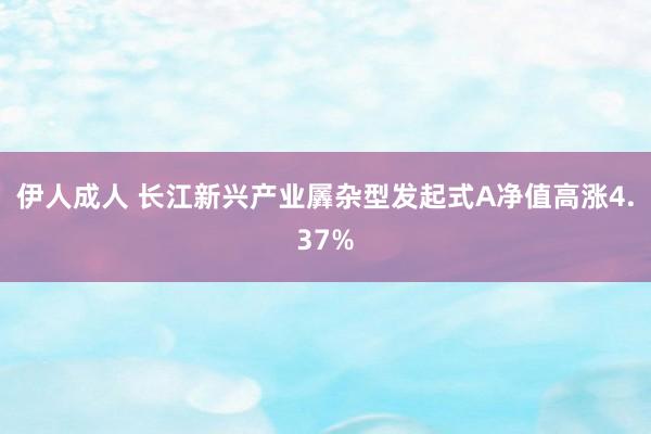 伊人成人 长江新兴产业羼杂型发起式A净值高涨4.37%