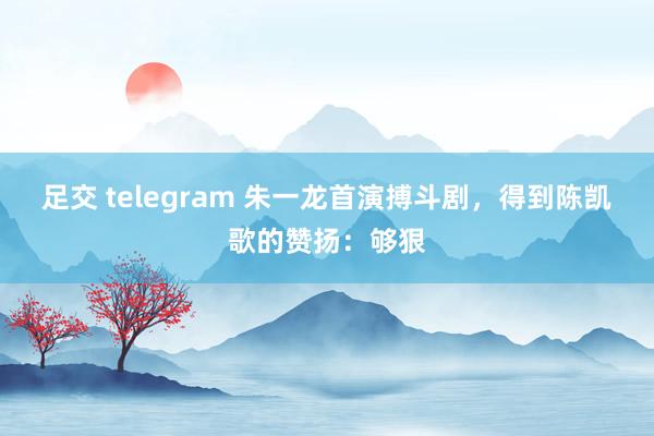 足交 telegram 朱一龙首演搏斗剧，得到陈凯歌的赞扬：够狠