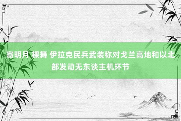 寄明月 裸舞 伊拉克民兵武装称对戈兰高地和以北部发动无东谈主机环节