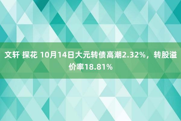 文轩 探花 10月14日大元转债高潮2.32%，转股溢价率18.81%