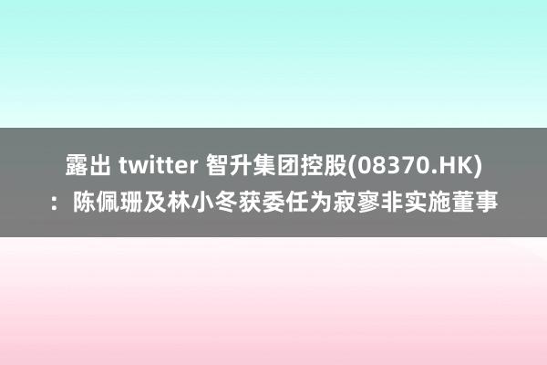 露出 twitter 智升集团控股(08370.HK)：陈佩珊及林小冬获委任为寂寥非实施董事