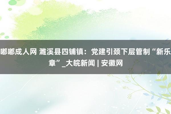 嘟嘟成人网 濉溪县四铺镇：党建引颈下层管制“新乐章”_大皖新闻 | 安徽网