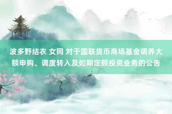 波多野结衣 女同 对于国联货币商场基金调养大额申购、调度转入及如期定额投资业务的公告