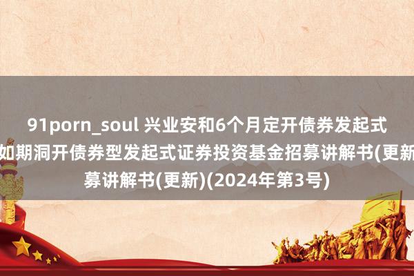 91porn_soul 兴业安和6个月定开债券发起式: 兴业安和6个月如期洞开债券型发起式证券投资基金招募讲解书(更新)(2024年第3号)