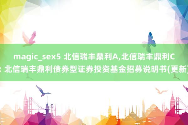 magic_sex5 北信瑞丰鼎利A，北信瑞丰鼎利C: 北信瑞丰鼎利债券型证券投资基金招募说明书(更新)