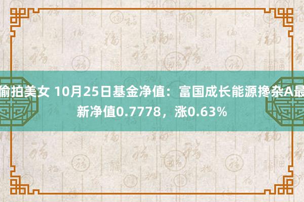 偷拍美女 10月25日基金净值：富国成长能源搀杂A最新净值0.7778，涨0.63%