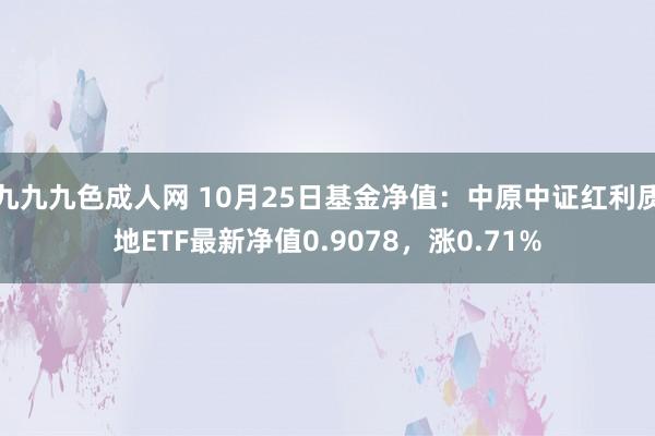 九九九色成人网 10月25日基金净值：中原中证红利质地ETF最新净值0.9078，涨0.71%