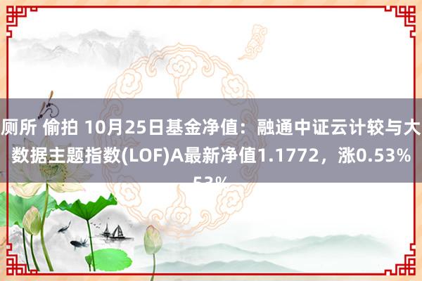 厕所 偷拍 10月25日基金净值：融通中证云计较与大数据主题指数(LOF)A最新净值1.1772，涨0.53%