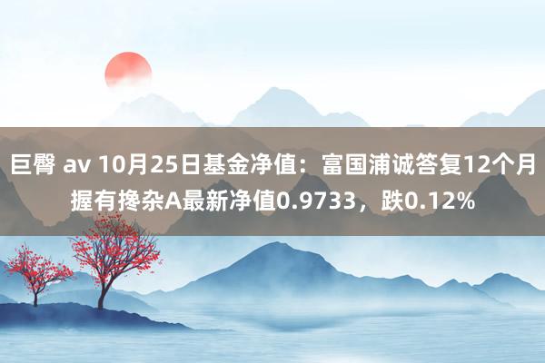 巨臀 av 10月25日基金净值：富国浦诚答复12个月握有搀杂A最新净值0.9733，跌0.12%