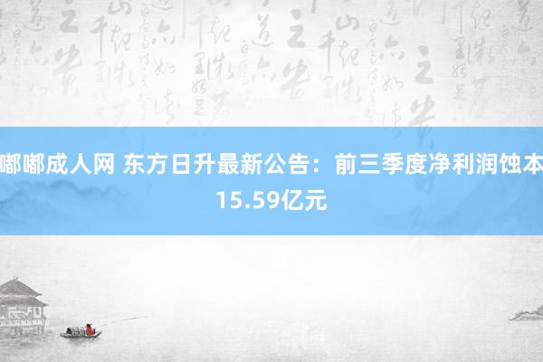 嘟嘟成人网 东方日升最新公告：前三季度净利润蚀本15.59亿元