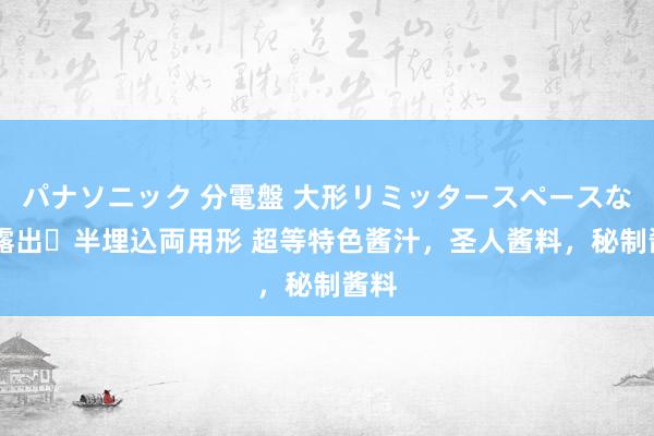 パナソニック 分電盤 大形リミッタースペースなし 露出・半埋込両用形 超等特色酱汁，圣人酱料，秘制酱料