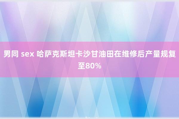 男同 sex 哈萨克斯坦卡沙甘油田在维修后产量规复至80%