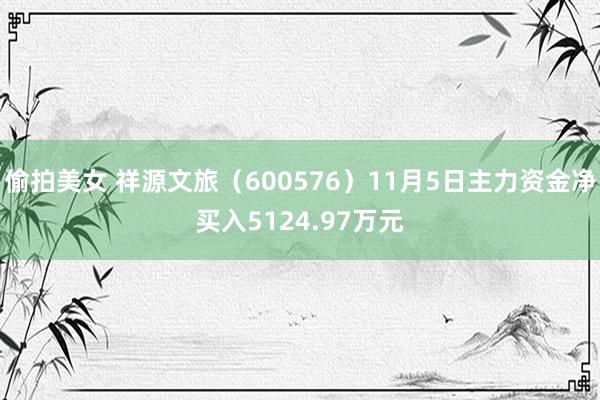 偷拍美女 祥源文旅（600576）11月5日主力资金净买入5124.97万元