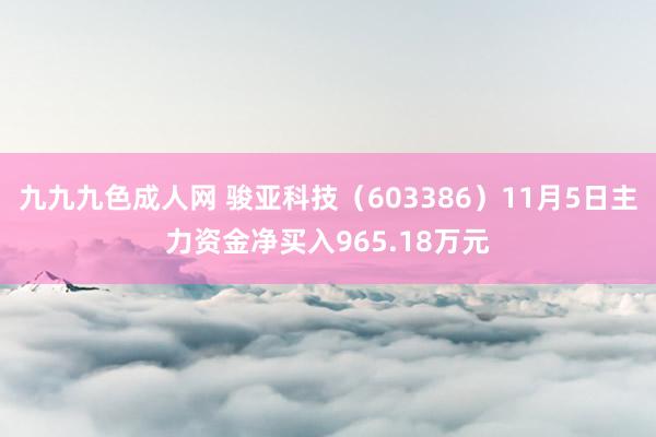 九九九色成人网 骏亚科技（603386）11月5日主力资金净买入965.18万元