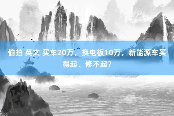 偷拍 英文 买车20万，换电板10万，新能源车买得起、修不起？