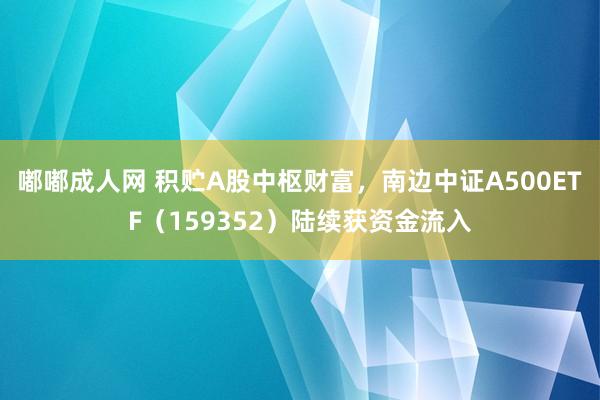 嘟嘟成人网 积贮A股中枢财富，南边中证A500ETF（159352）陆续获资金流入