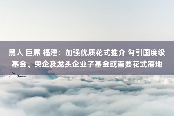 黑人 巨屌 福建：加强优质花式推介 勾引国度级基金、央企及龙头企业子基金或首要花式落地