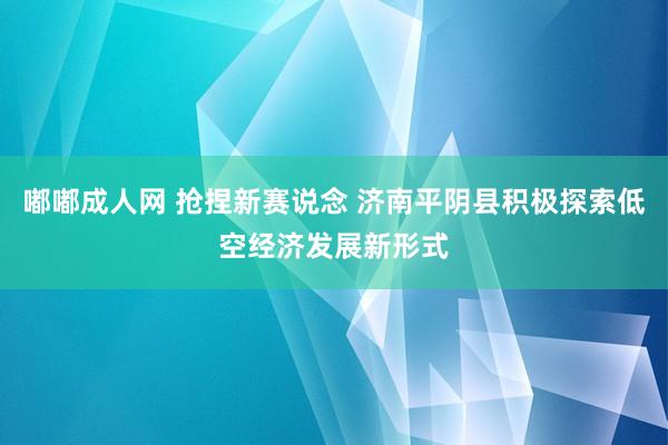 嘟嘟成人网 抢捏新赛说念 济南平阴县积极探索低空经济发展新形式