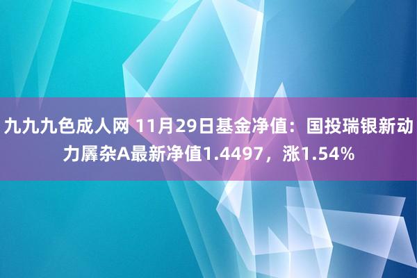 九九九色成人网 11月29日基金净值：国投瑞银新动力羼杂A最新净值1.4497，涨1.54%